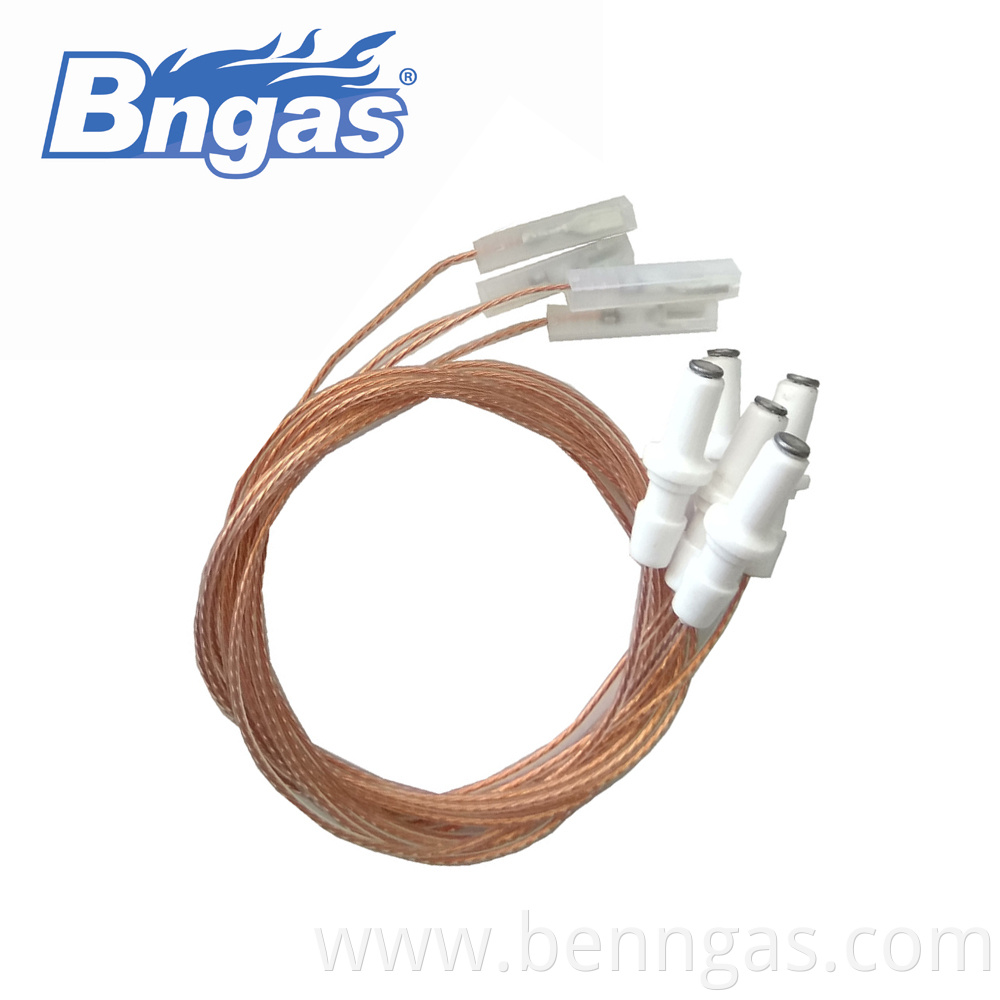 electrode spark plug ceramic igniter